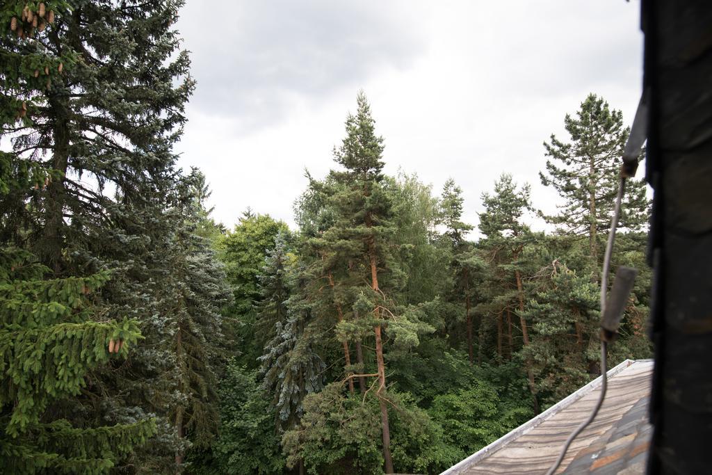 Villa Augustusberg Petrovice  Esterno foto