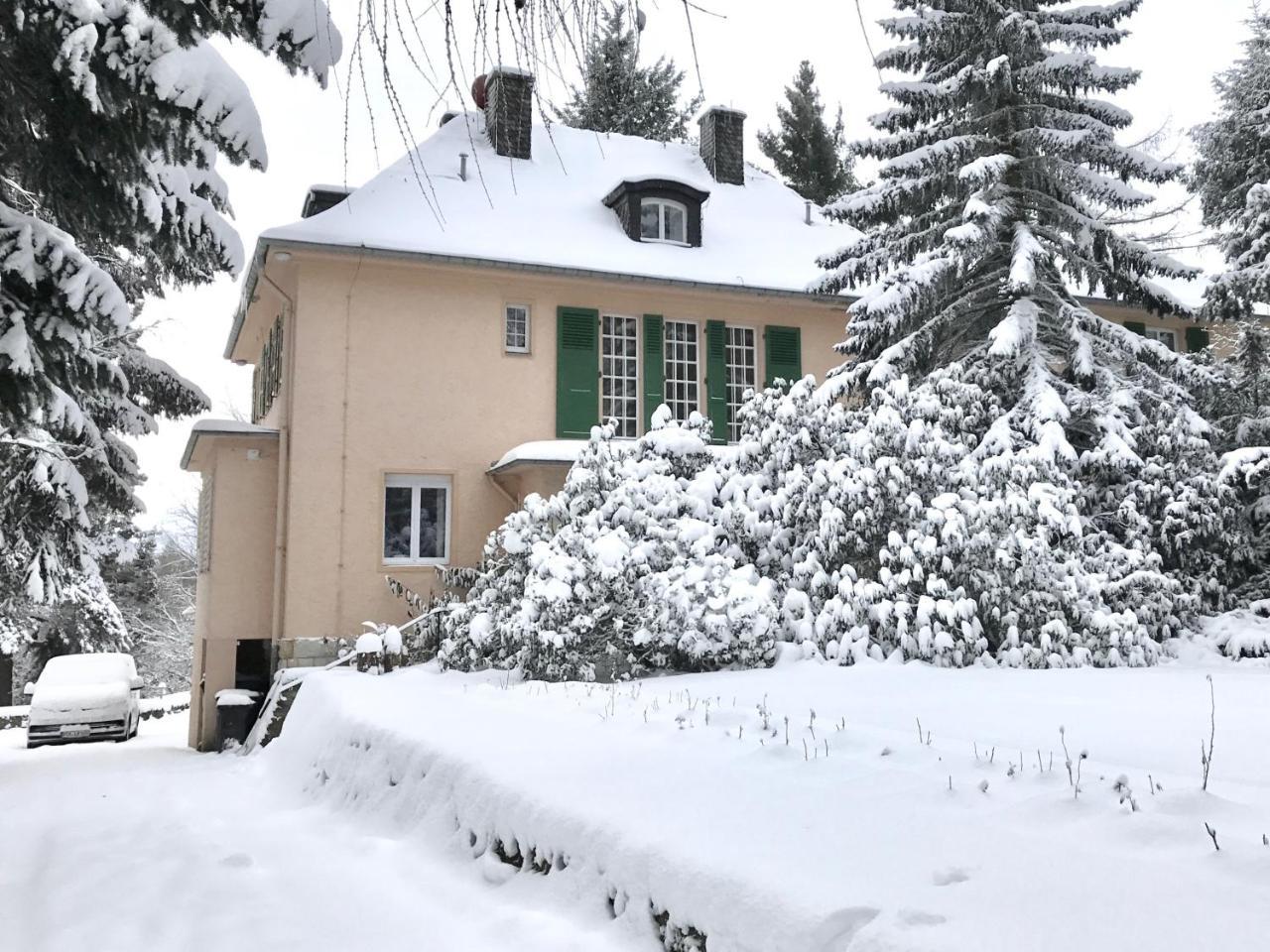Villa Augustusberg Petrovice  Esterno foto